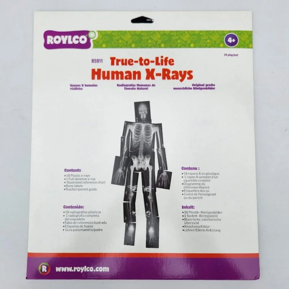 NEW Roylco True-to Life Human X-Rays - Age 4+ R5911 XRays Nancy Larson School Su